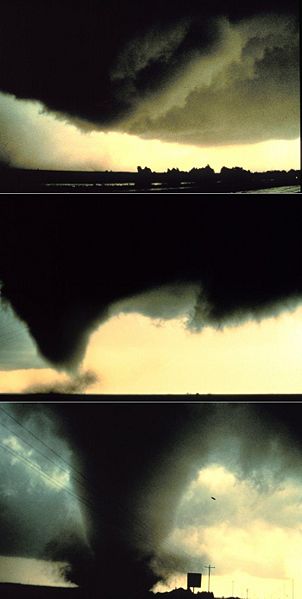 File:Dimmit Sequence.jpg