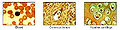 Thumbnail for version as of 19:11, 7 April 2007