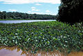 Thumbnail for version as of 17:55, 20 May 2007