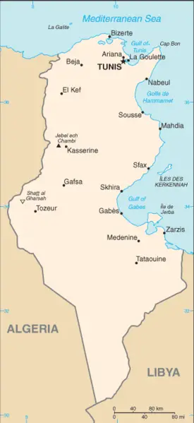 File:Tunisia sm03.png