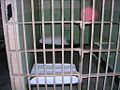 Thumbnail for version as of 03:56, 20 February 2009