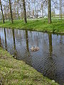 Thumbnail for version as of 17:20, 22 January 2009