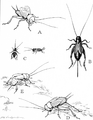 Thumbnail for version as of 16:23, 1 December 2007