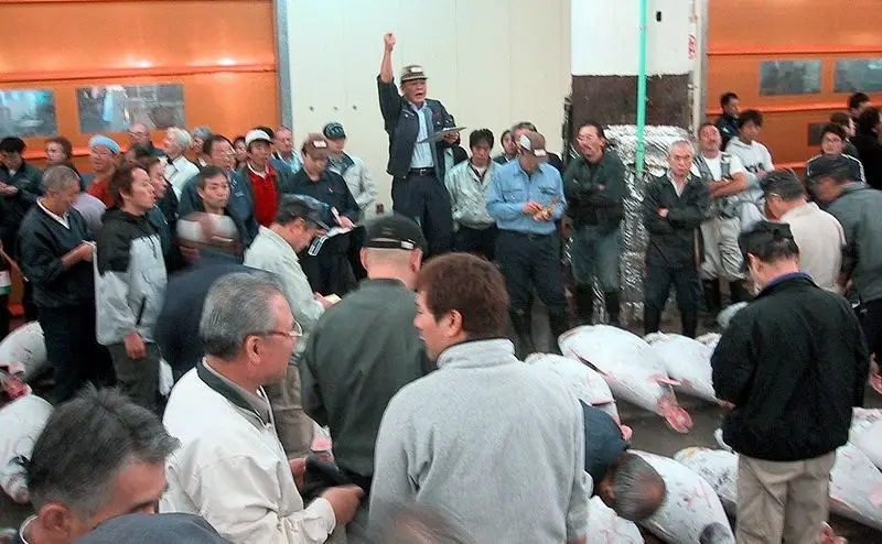 File:Auction Tsukiji fishmarket.jpg