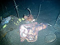 Thumbnail for version as of 19:07, 20 December 2008