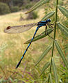 Thumbnail for version as of 18:08, 21 December 2005