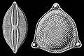Thumbnail for version as of 19:44, 22 August 2008