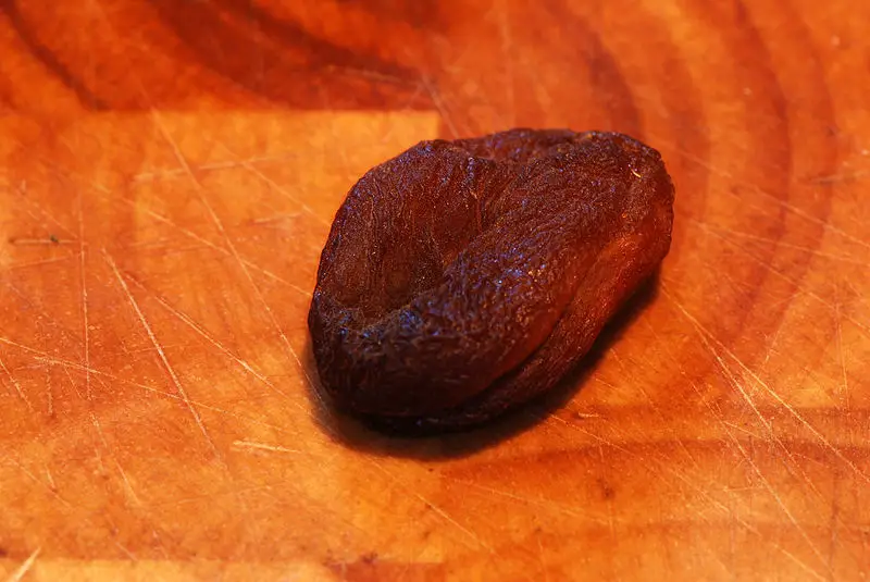 File:Dried apricot 01 Pengo.jpg