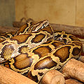 Thumbnail for version as of 02:45, 5 January 2009