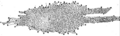 Thumbnail for version as of 20:27, 28 September 2007