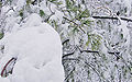 Thumbnail for version as of 20:00, 26 July 2007