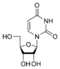 Chemical structure of uridine