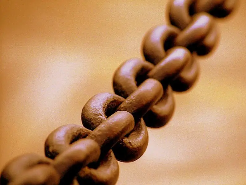 File:Broad chain closeup.jpg