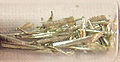 Thumbnail for version as of 16:30, 14 November 2006