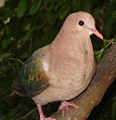 Thumbnail for version as of 14:39, 8 July 2006