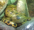 Thumbnail for version as of 23:33, 22 August 2007