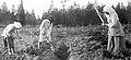 Thumbnail for version as of 15:55, 11 September 2008