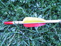 Thumbnail for version as of 18:16, 8 November 2008