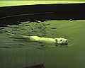 Thumbnail for version as of 05:41, 6 March 2007