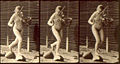 Thumbnail for version as of 18:22, 14 December 2007