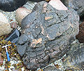 Thumbnail for version as of 22:34, 16 June 2007
