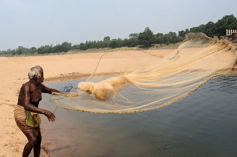 File:Fishing In Orissa.JPG