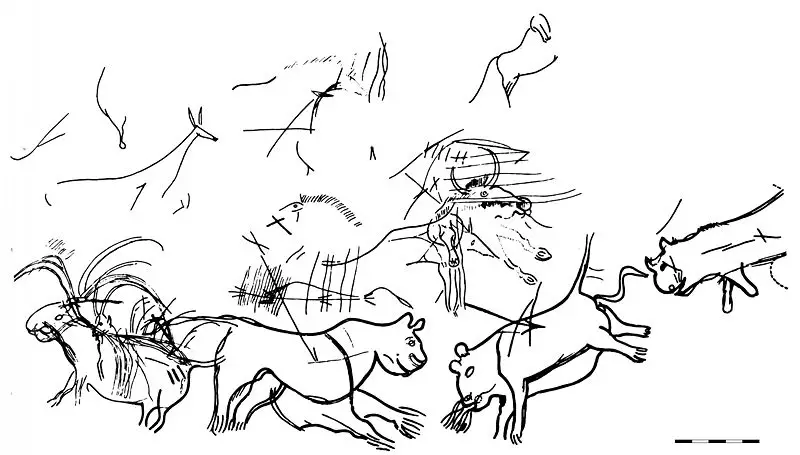 File:Lascaux-diverticule-félins.jpg