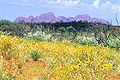 Thumbnail for version as of 20:13, 11 September 2008