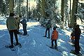 Thumbnail for version as of 23:24, 3 February 2007