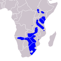 Range map of the plains zebra