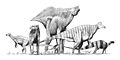 Thumbnail for version as of 22:32, 23 March 2007