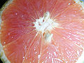 Thumbnail for version as of 02:35, 10 October 2007