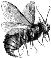 Thumbnail for version as of 15:41, 6 May 2008