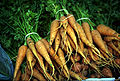 Thumbnail for version as of 17:03, 15 August 2007
