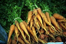 Harvested carrots