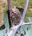 Thumbnail for version as of 13:14, 19 April 2008