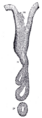 Thumbnail for version as of 01:50, 15 July 2007