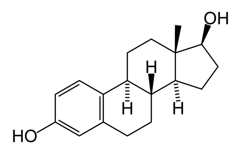 File:Oestradiol-2D-skeletal.png
