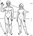 Thumbnail for version as of 01:50, 17 January 2008