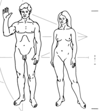 Humans as depicted on the Pioneer plaque