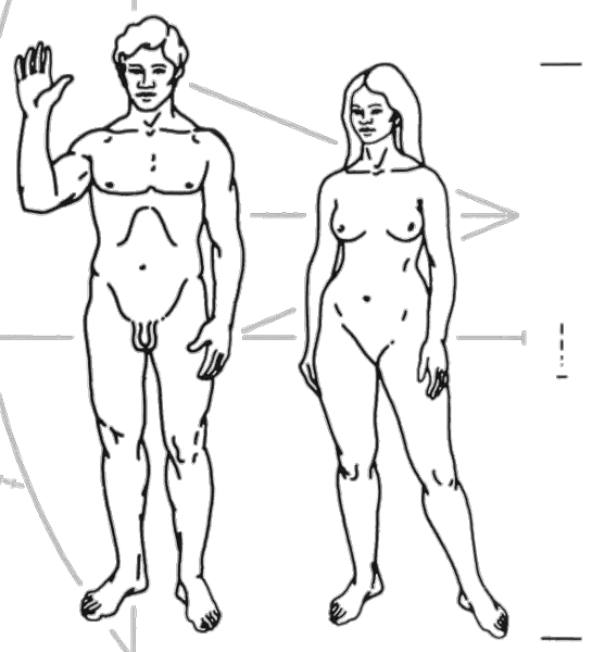 File:PPlaqueB.png