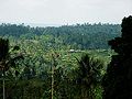 Thumbnail for version as of 03:27, 26 May 2006