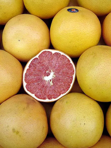 File:Pomelos - Grapefruits.jpg