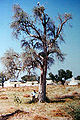 Thumbnail for version as of 04:16, 28 April 2007