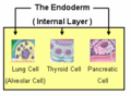 Thumbnail for version as of 01:56, 14 September 2008