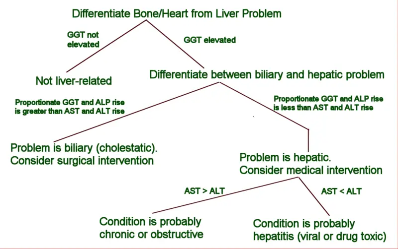 File:Jaundice-diagnostic-tree.png