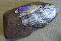 Thumbnail for version as of 05:13, 2 February 2007