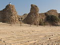 Thumbnail for version as of 01:48, 4 December 2007