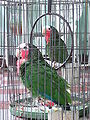 Thumbnail for version as of 19:15, 6 November 2008