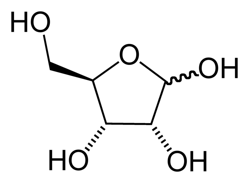 File:Ribofuranose-2D-skeletal.png